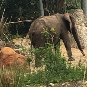 Meet your Posher, Ella